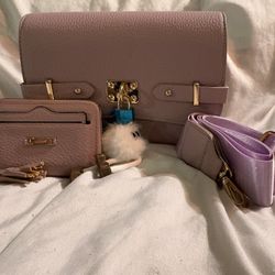 New Purse Set