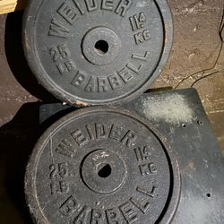 25 Lb Standard Weights 