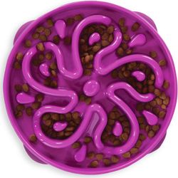 Outward Hound Fun Feeder Interactive Dog Bowl, Slow Feeder