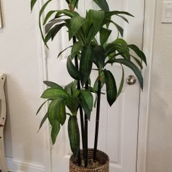 Artificial Plant 