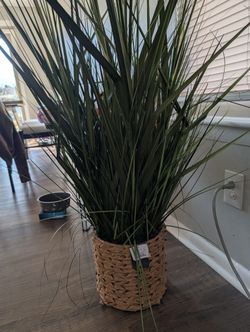 Artificial House Plants