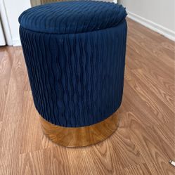 Storage Seat