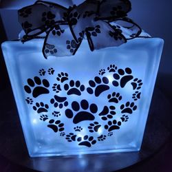 Light Up Paw Block