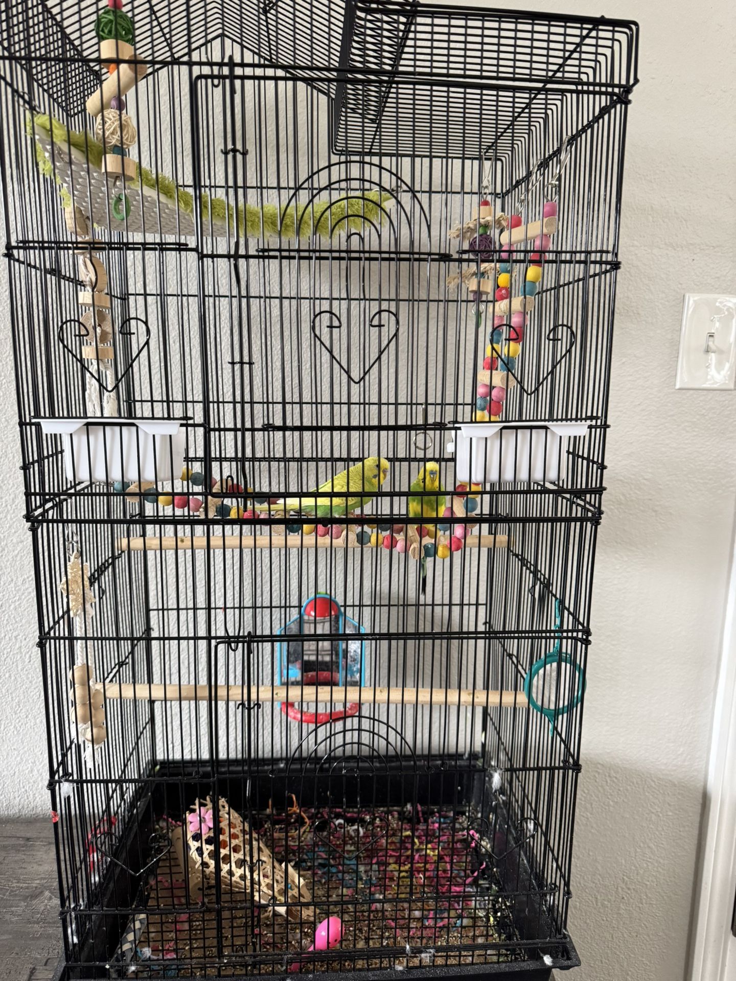 Parakeet Bird Cage With Everything Included 