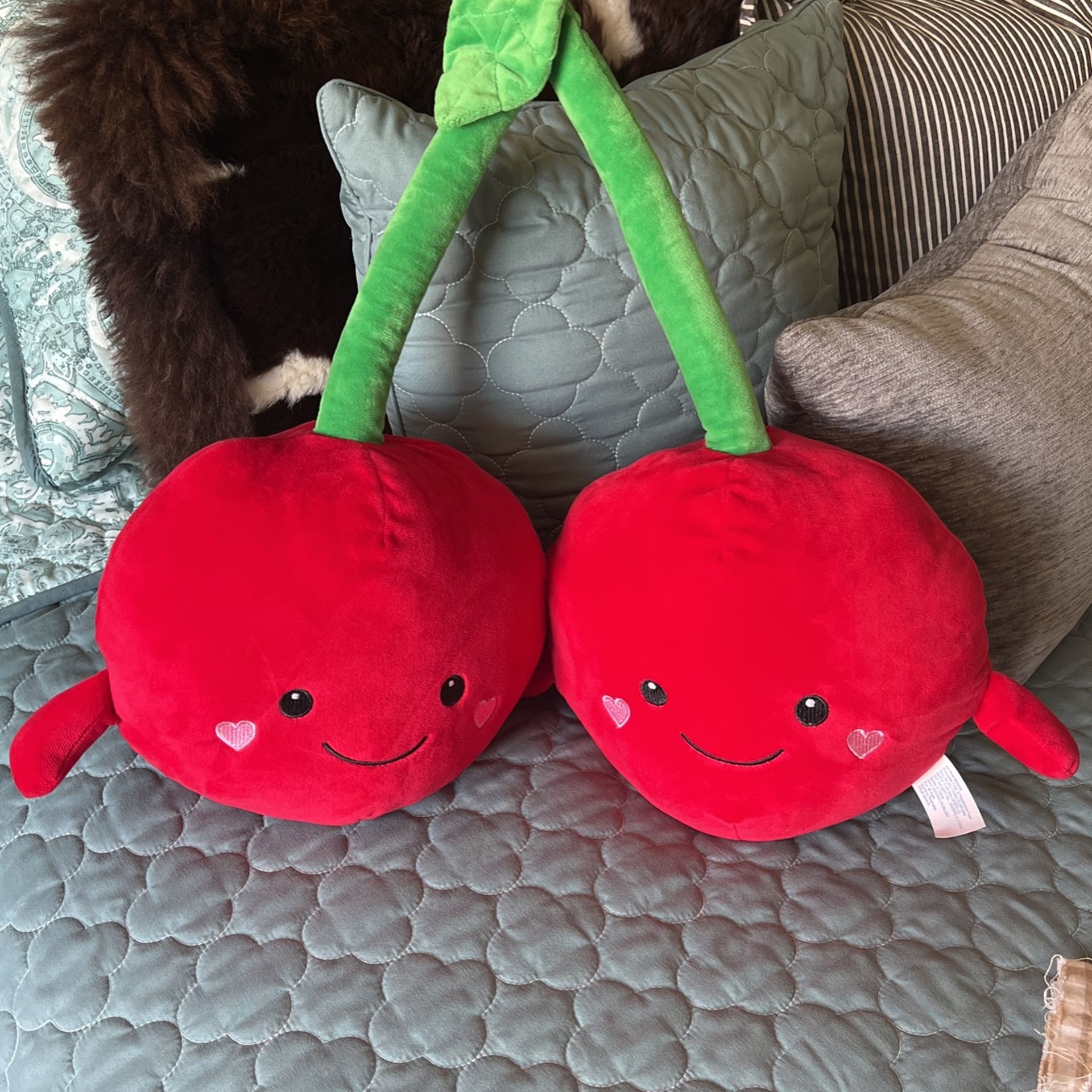 Large Cherry Plush Stuffed Toy- Walgreens exclusive