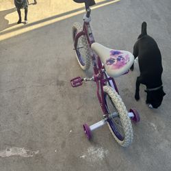 Girls Bike 