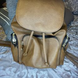 Aldo Backpack