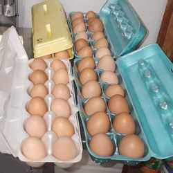 BBQ COOKING WOOD! Oak & Pecan ! Roam Free Eggs ! 5.00 A 18 Pack  Best Quality Around  !