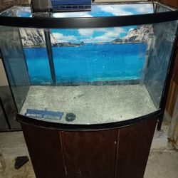 36 gallon bow front Fish Tank with filter and heater.  No top .