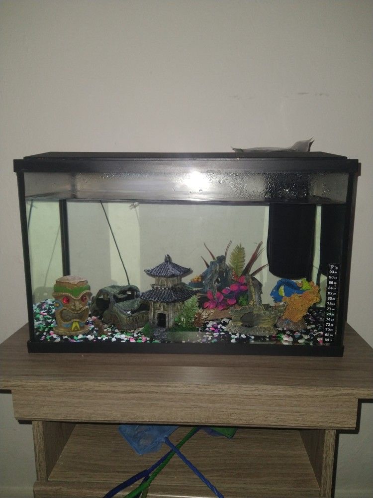 Fish Tank Starter
