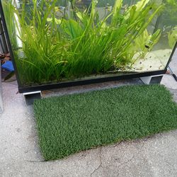 30-Galon fishtank with aquatic plants $350