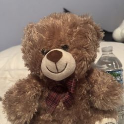 Teddy Bear