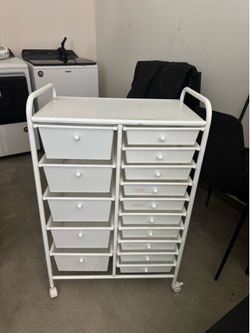 15-Drawer Metal Organizing Cart (school, homeschool, home)