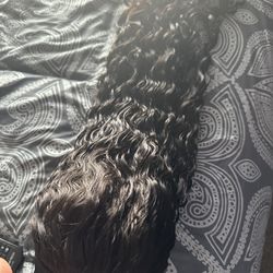 24” Deepwave Headband Wig