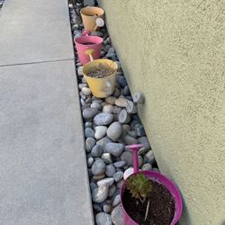 Flower Pots For Sale Large To Small