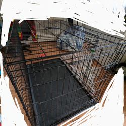 Large Dog Cage  48Lx30Wx32H