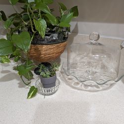 Princess house crystal cake platter with cover and candle holder