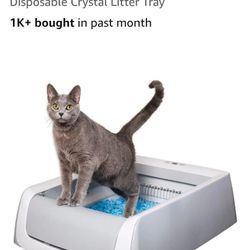 Self Clean Cat Litter Box
