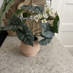 Target Faux Plant $8