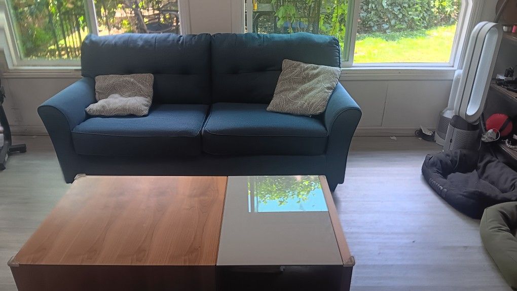 Like new sleeper sofa set and Scandinavian Designs coffee table
