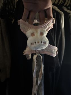 Small Harness With Leash 