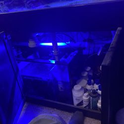 120+gallon saltwater fish tank