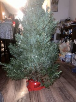 Small tree On Sale