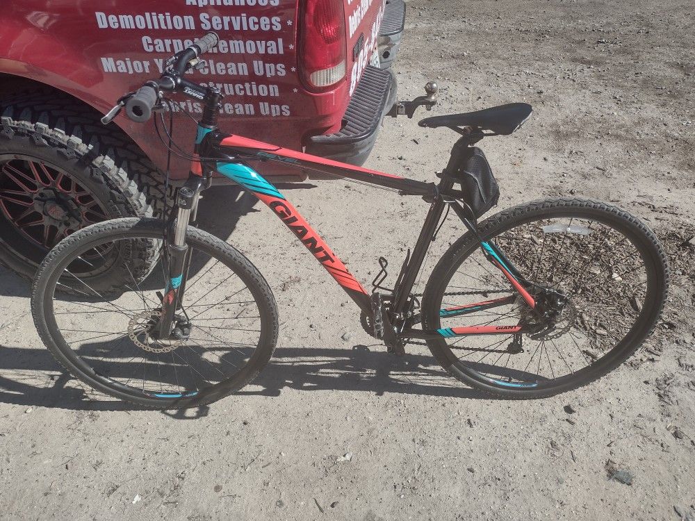 Giant Bike