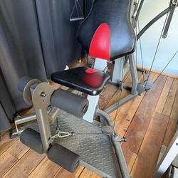 Bowflex Exercise Weights -Free