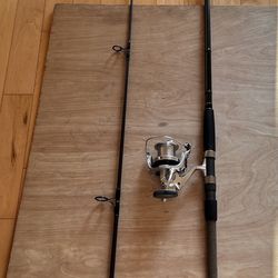Team Daiwa 10 Ft Surf Rod, 2-piece w. Shimano Ultegra 5500 Spinning Reel,  Excellent Cond. for Sale in Los Angeles, CA - OfferUp