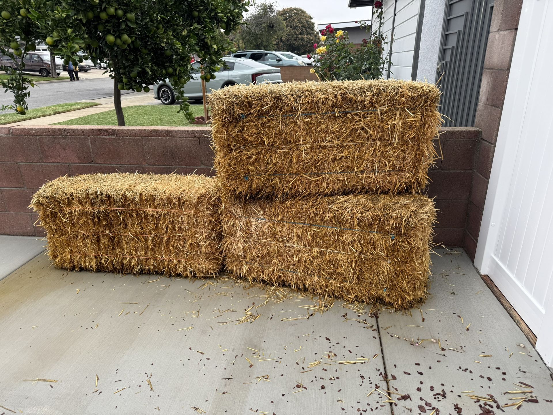 Free hay Bales