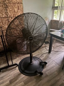 Big gym fan