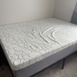 Free Queen Mattress 