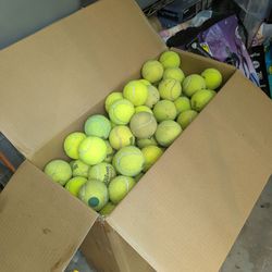 Dog Used Tennis Balls 100/$25