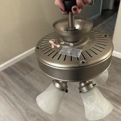 Ceiling Fan