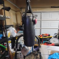 Punching Bag And Stand
