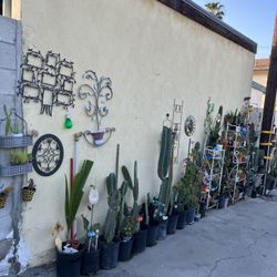 Garden /home Decor Diff Kind 