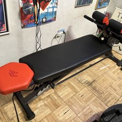 Multi-Functional Weight Bench for Full All-in-One Body Workout 