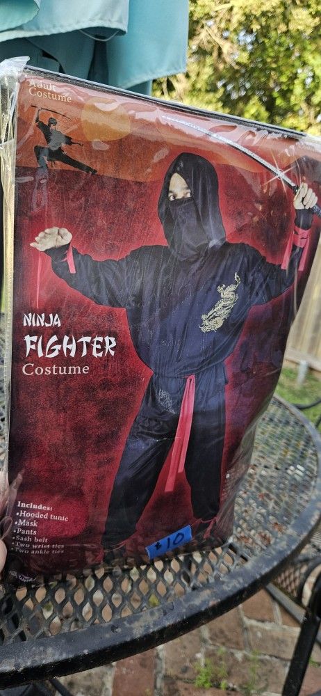 It's Not Too Late! Ninja Fighter Costume