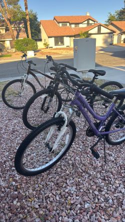 3 Bicycles all for $100