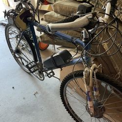 Trek Men’s Bike