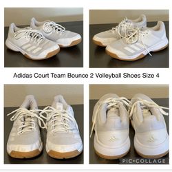 Nike Volleyball Shoes Size 4