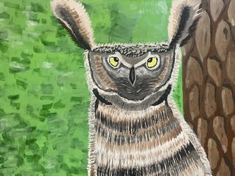 The Owl’s Watching