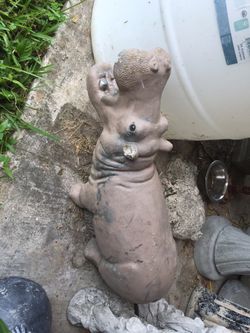 Hippo pond spitter