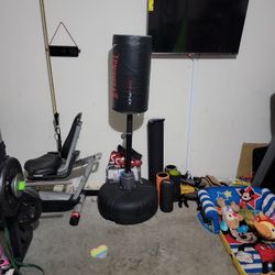 Everlast punchung bag