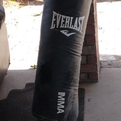 Punching Bag