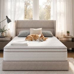 NEW California King Mattress 14" Hybrid — Novilla Pocket Coil, CertiPUR-US, Never Used, In Box