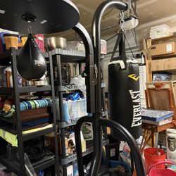 Everlast Punching Bag Equipment 