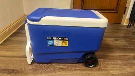Cooler