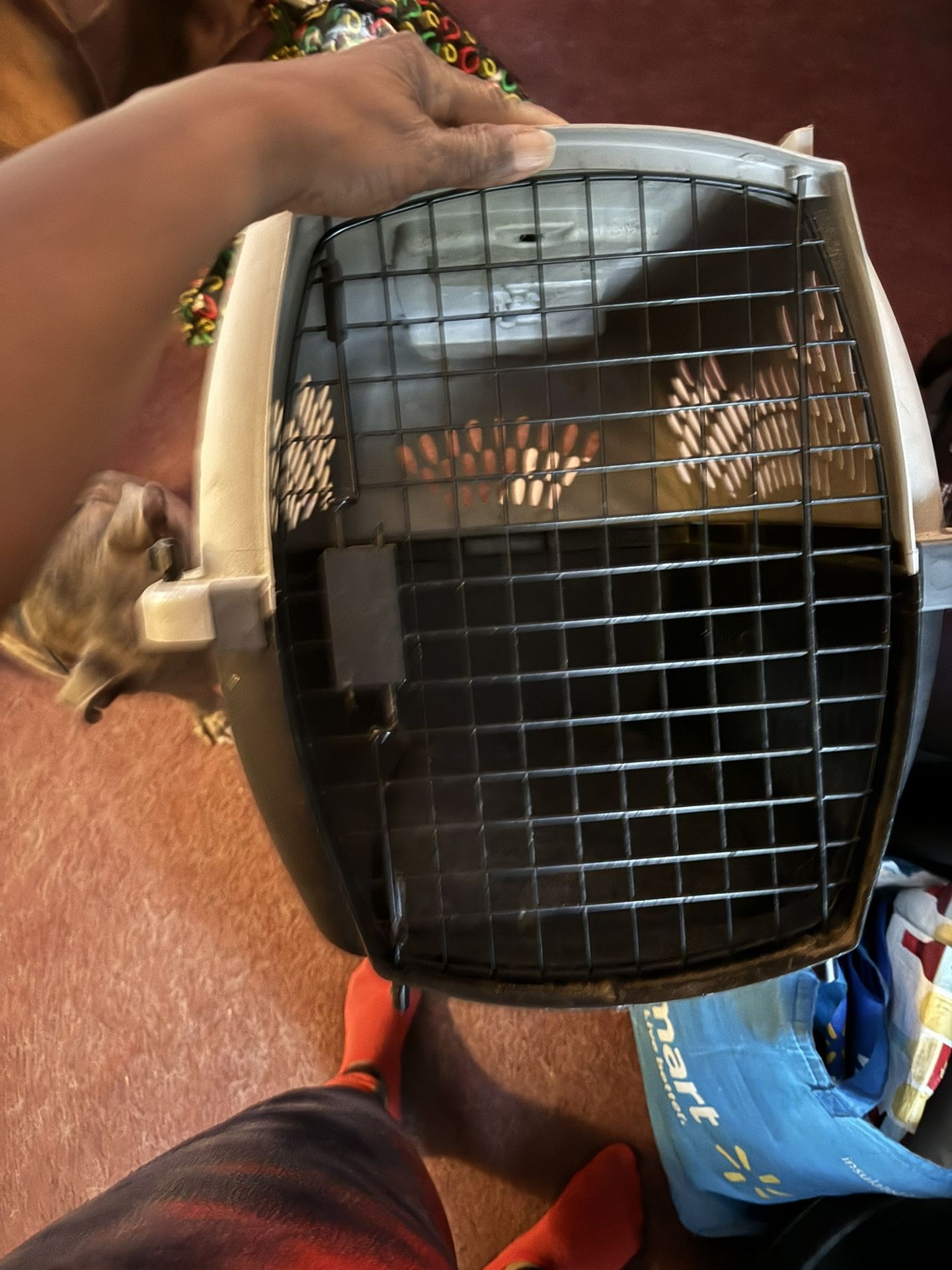 Pet Taxi -For Dog/Cats